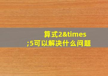 算式2×5可以解决什么问题