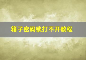 箱子密码锁打不开教程