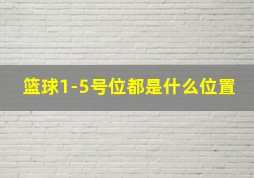 篮球1-5号位都是什么位置