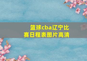 篮球cba辽宁比赛日程表图片高清