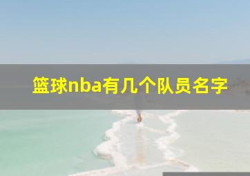 篮球nba有几个队员名字