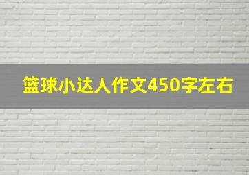 篮球小达人作文450字左右