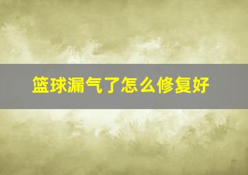 篮球漏气了怎么修复好