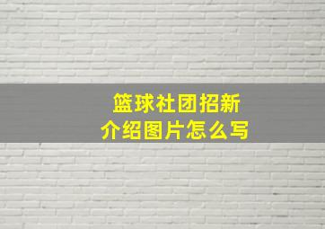 篮球社团招新介绍图片怎么写