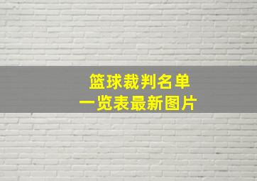 篮球裁判名单一览表最新图片