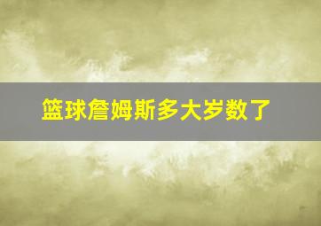 篮球詹姆斯多大岁数了