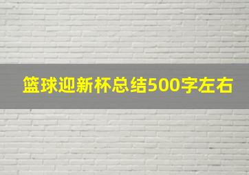 篮球迎新杯总结500字左右