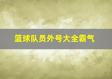 篮球队员外号大全霸气