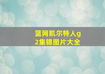 篮网凯尔特人g2集锦图片大全