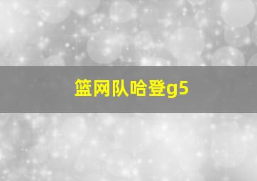 篮网队哈登g5