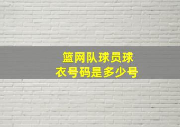 篮网队球员球衣号码是多少号