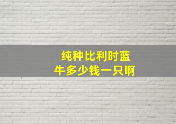 纯种比利时蓝牛多少钱一只啊