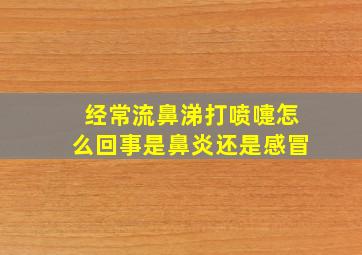 经常流鼻涕打喷嚏怎么回事是鼻炎还是感冒