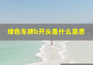 绿色车牌b开头是什么意思