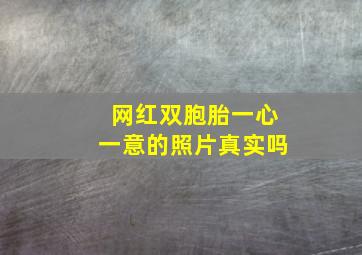 网红双胞胎一心一意的照片真实吗