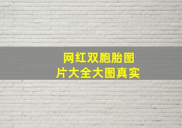 网红双胞胎图片大全大图真实