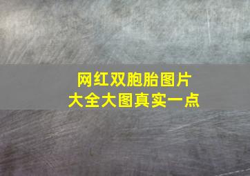 网红双胞胎图片大全大图真实一点