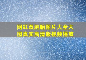 网红双胞胎图片大全大图真实高清版视频播放