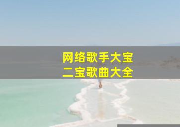 网络歌手大宝二宝歌曲大全