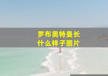 罗布奥特曼长什么样子图片