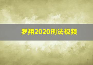 罗翔2020刑法视频