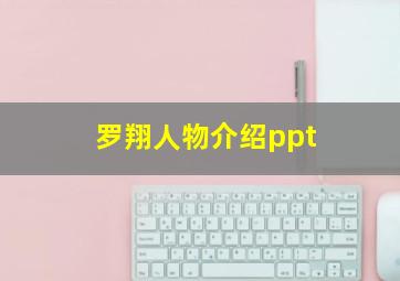 罗翔人物介绍ppt