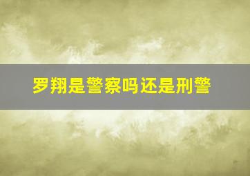 罗翔是警察吗还是刑警