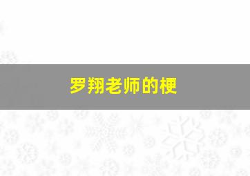 罗翔老师的梗