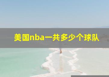 美国nba一共多少个球队