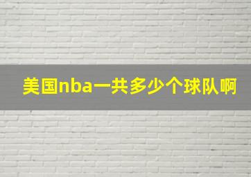 美国nba一共多少个球队啊