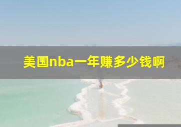 美国nba一年赚多少钱啊