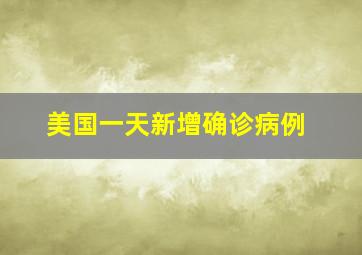 美国一天新增确诊病例