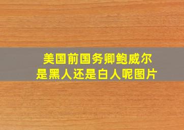 美国前国务卿鲍威尔是黑人还是白人呢图片