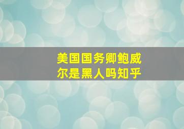 美国国务卿鲍威尔是黑人吗知乎