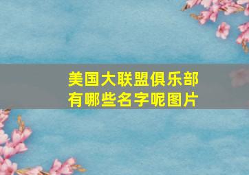 美国大联盟俱乐部有哪些名字呢图片