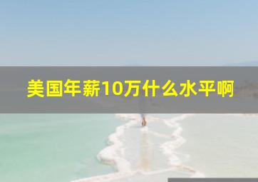 美国年薪10万什么水平啊