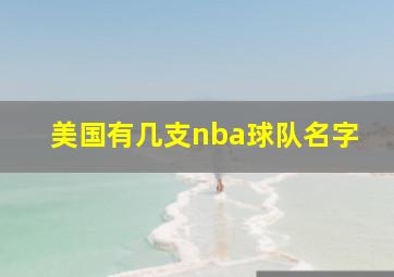 美国有几支nba球队名字