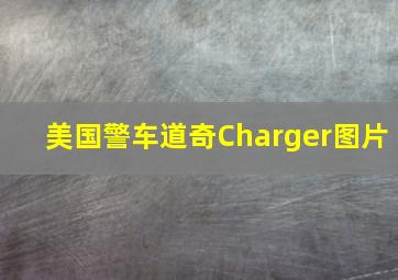 美国警车道奇Charger图片