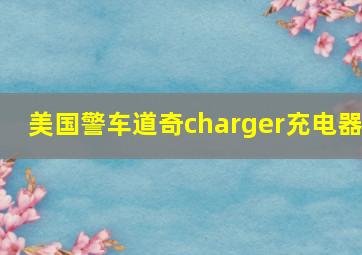 美国警车道奇charger充电器