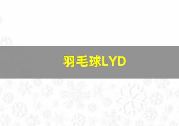 羽毛球LYD