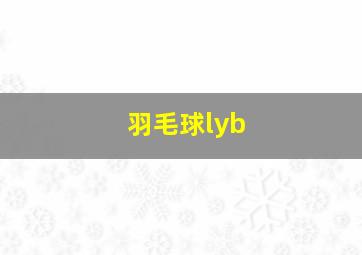 羽毛球lyb