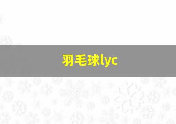 羽毛球lyc