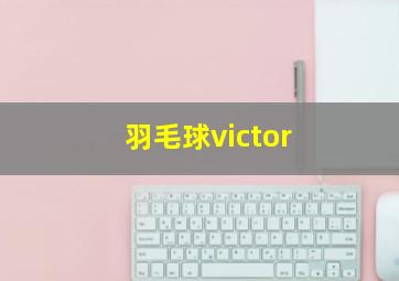 羽毛球victor