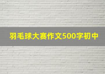 羽毛球大赛作文500字初中