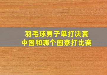 羽毛球男子单打决赛中国和哪个国家打比赛