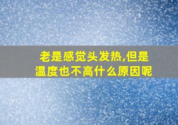 老是感觉头发热,但是温度也不高什么原因呢