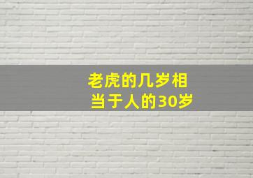 老虎的几岁相当于人的30岁