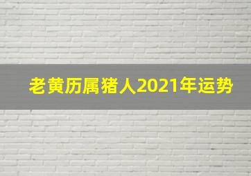 老黄历属猪人2021年运势