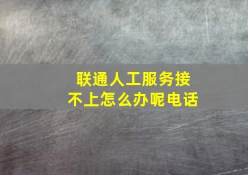 联通人工服务接不上怎么办呢电话