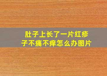 肚子上长了一片红疹子不痛不痒怎么办图片